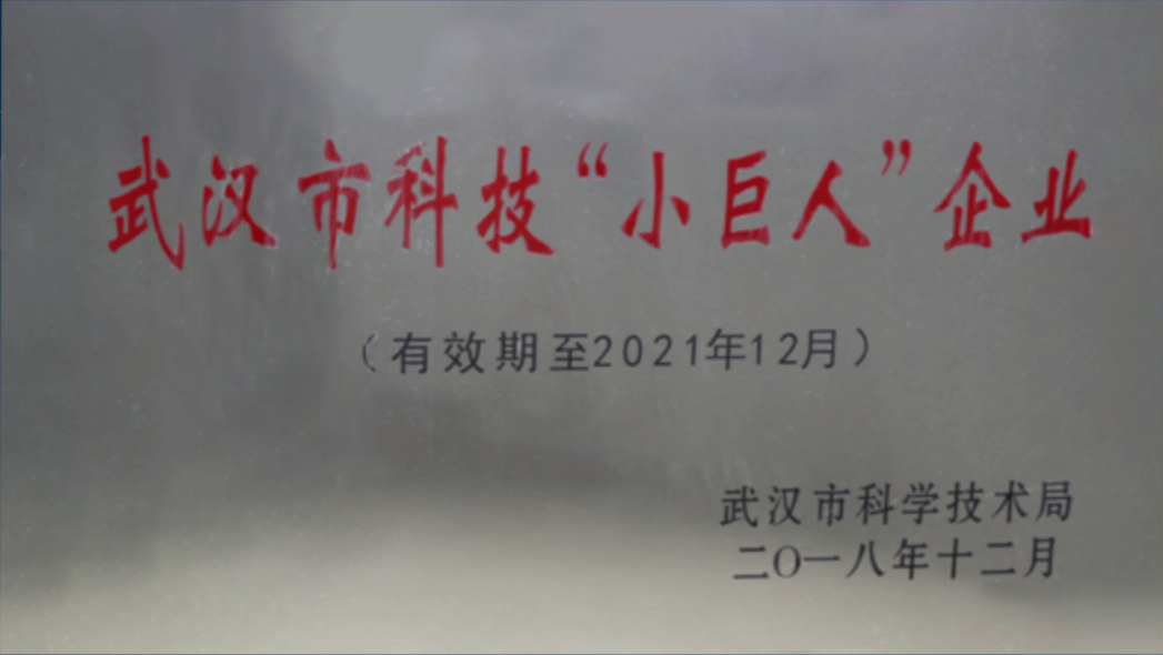 武漢市科技“小巨人”企業