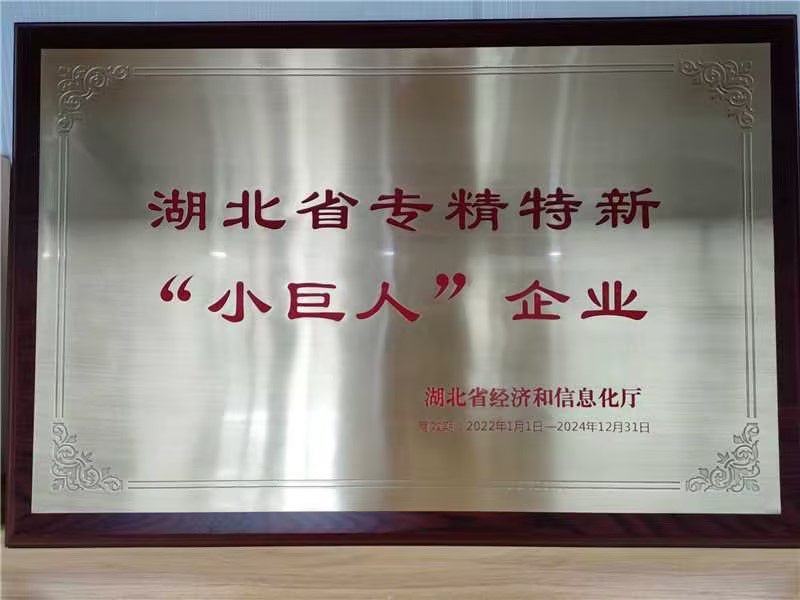 湖北省專精特新“小巨人”企業